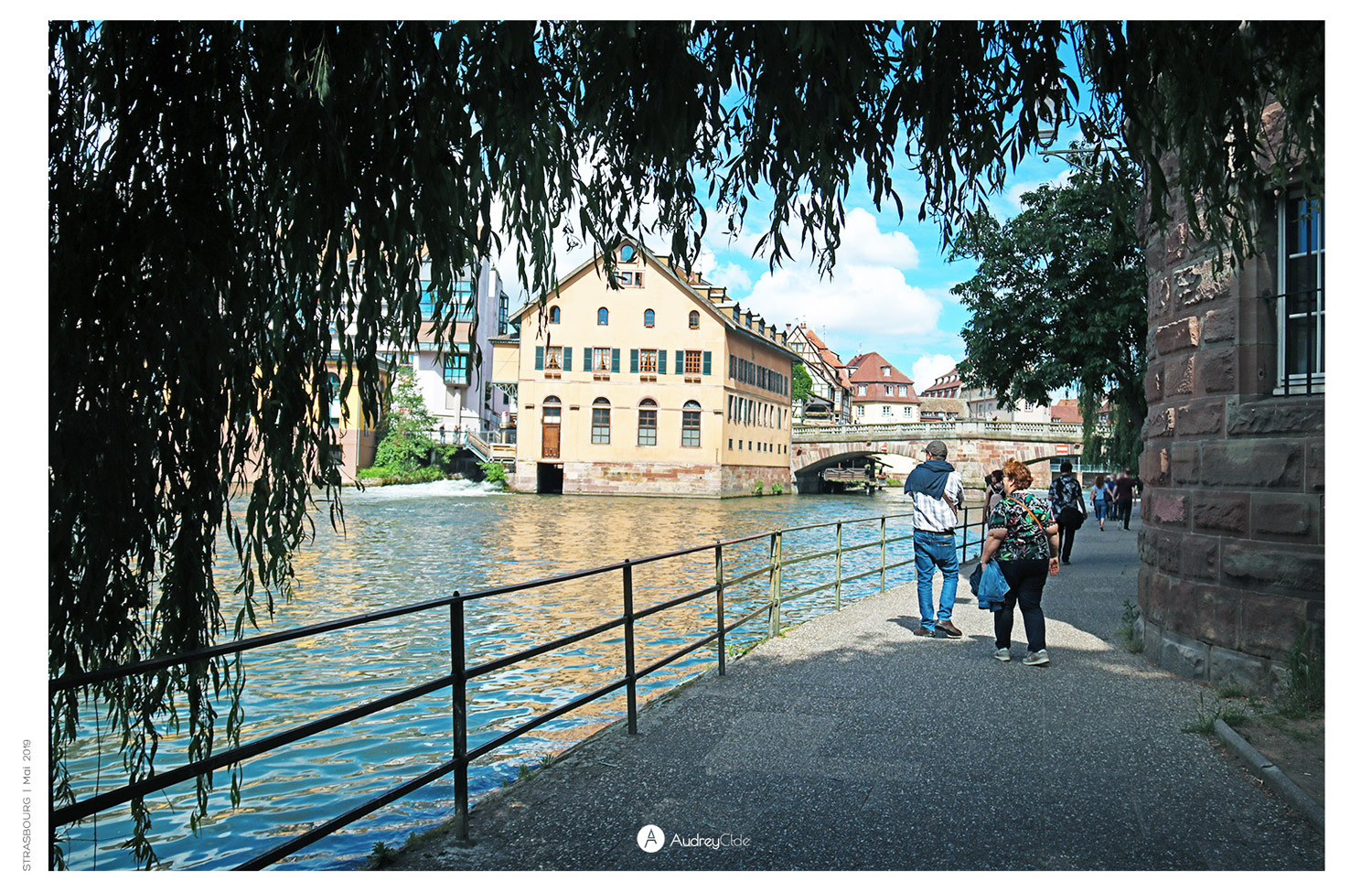 Adey Photographie